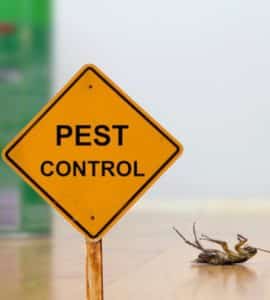 Tewantin Pest Control