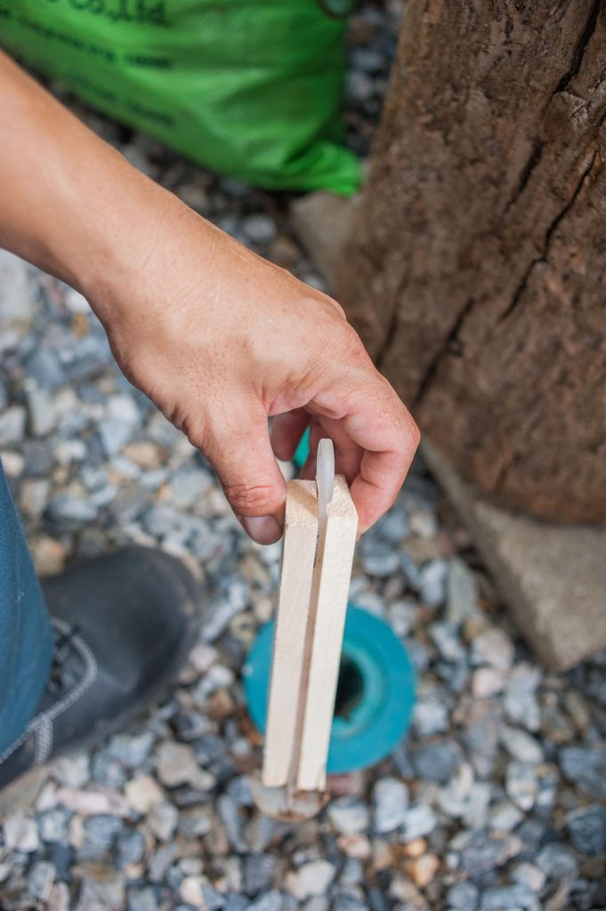 Termite Baiting & termite bait