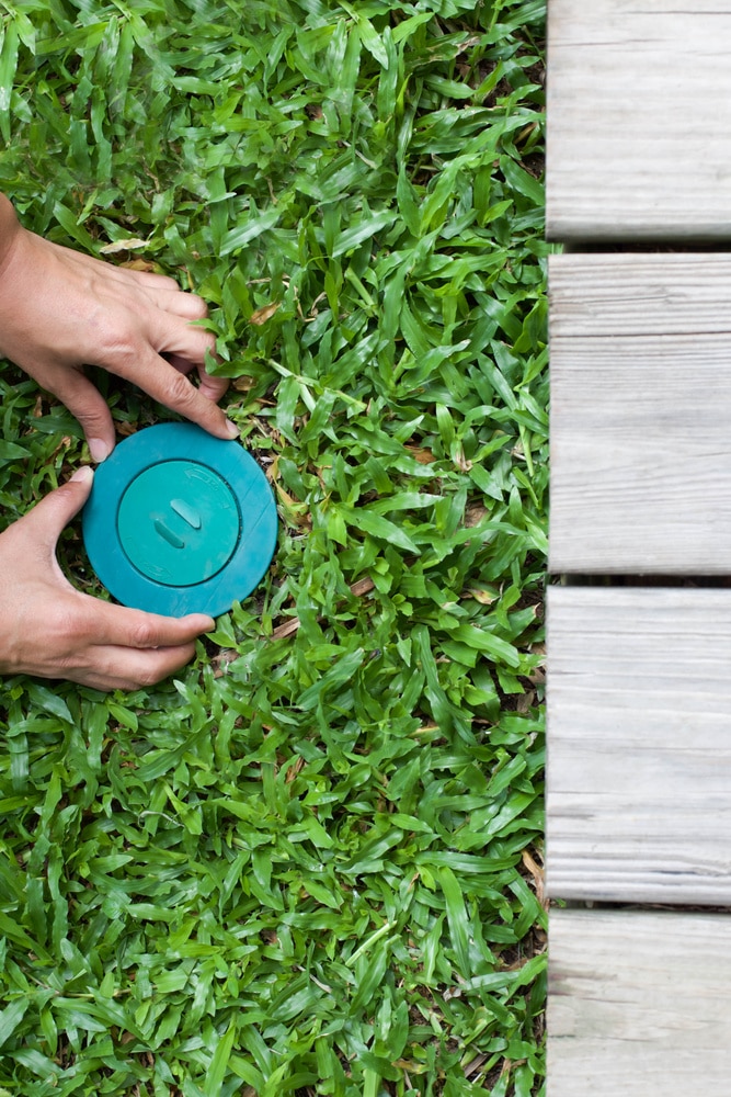 Termite Baiting System in Ground