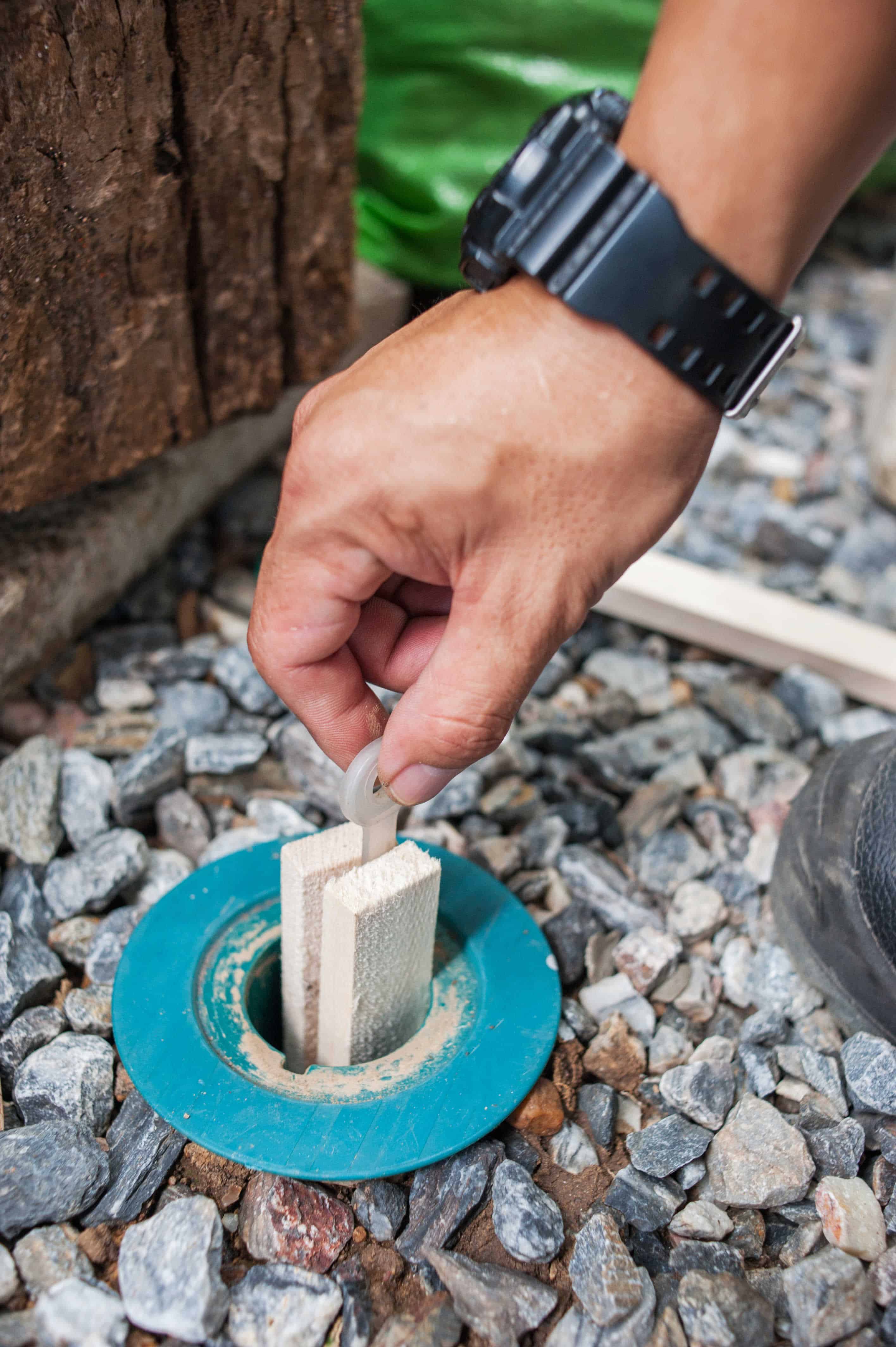 Termite Baiting Wood Treats