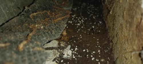 We use the latest technology to view inside your wall cavities to locate termite evidence.