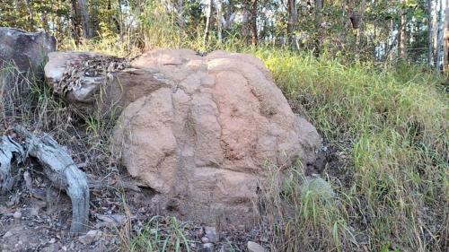 A termite mound on your property? We can remove it and take it away no matter how large, or treat it using Termiticides. 
